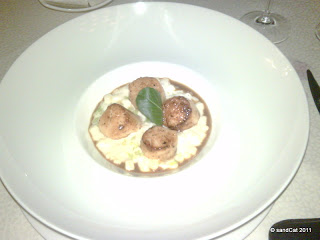 scallops scallops