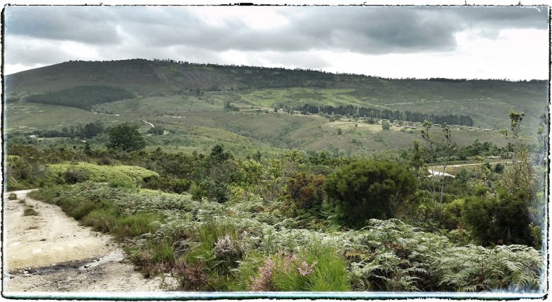 Millwood Views at Goudveld Knysna