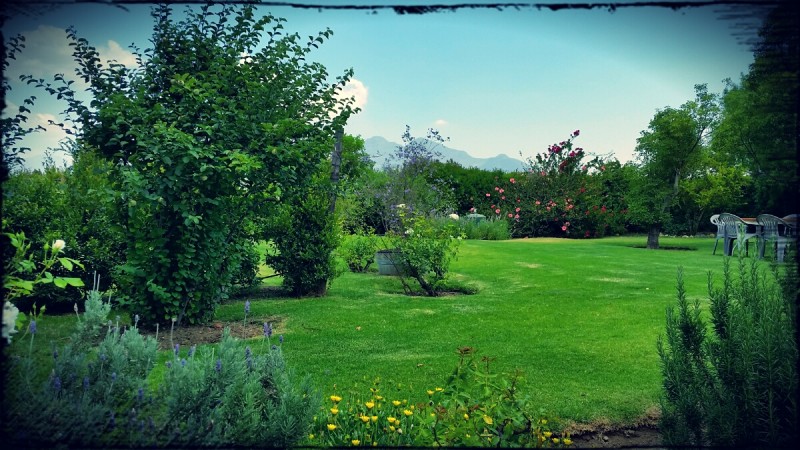 delicious December discoveries with sandCat