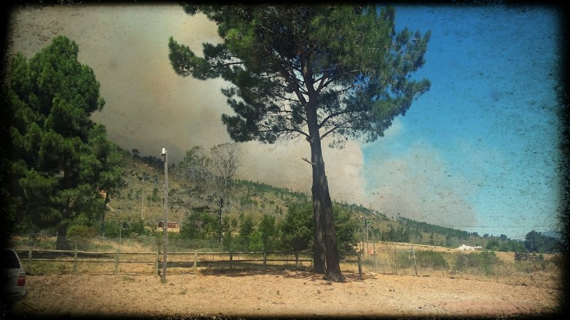 where there is smoke there's fire with sandCat