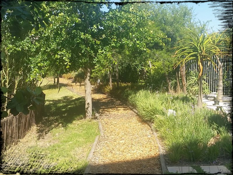 Hotel Verde: eco-friendly accommodation at Cape Town International