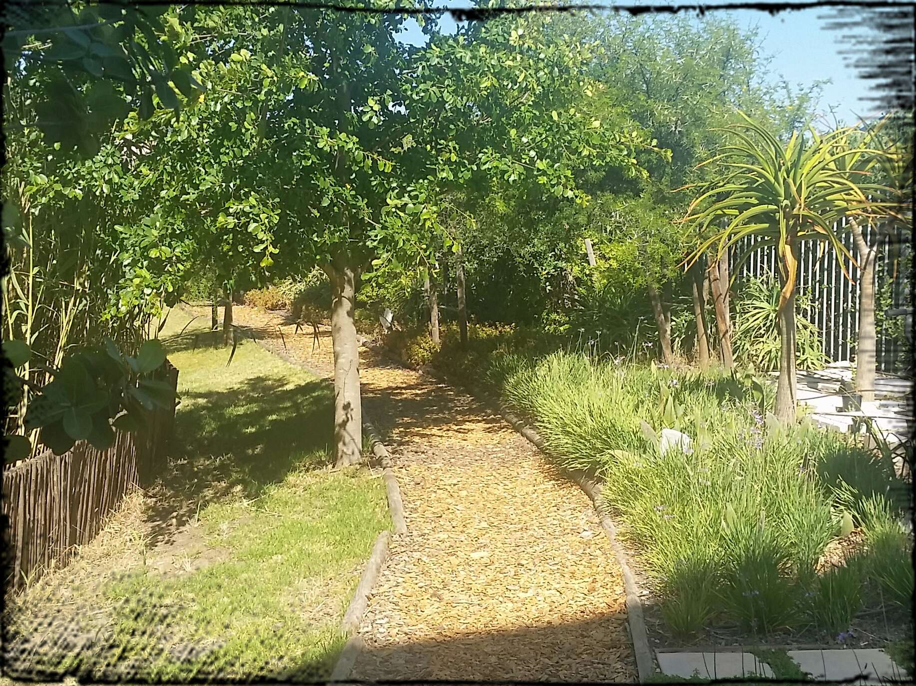 Hotel Verde: eco-friendly accommodation at Cape Town International