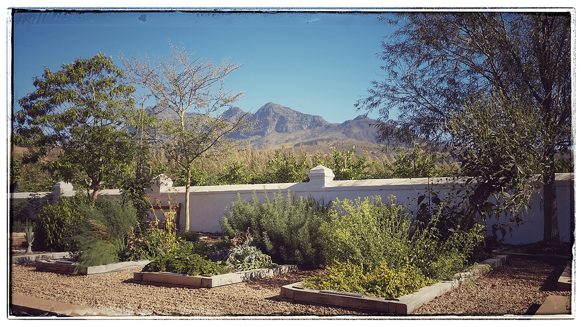 Babylonstoren: Healing Garden